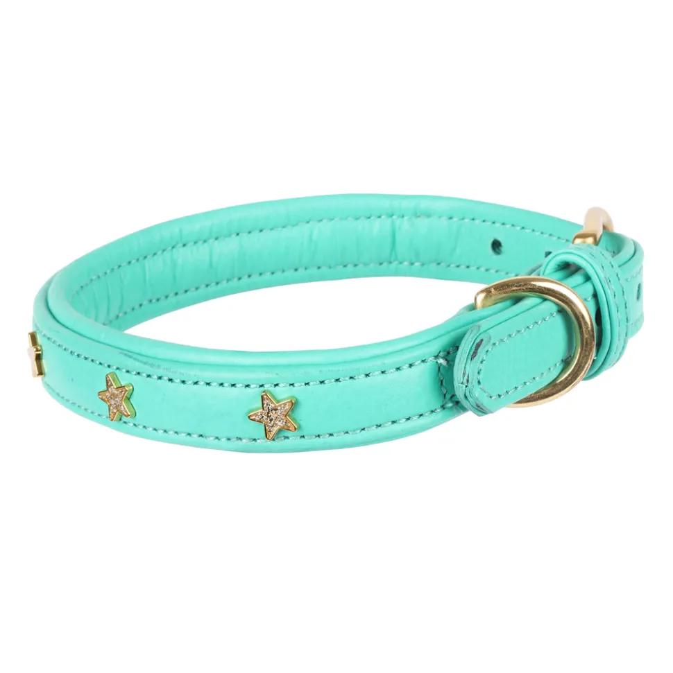 Digby & Fox Star Dog Collar