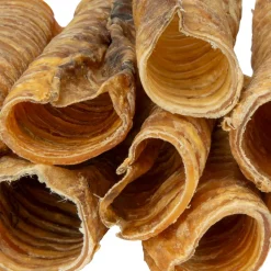 Digby & Fox Trachea