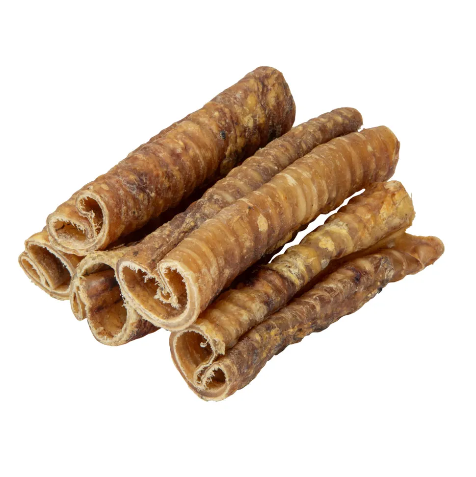 Digby & Fox Trachea