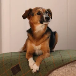 Digby & Fox Tweed Blanket