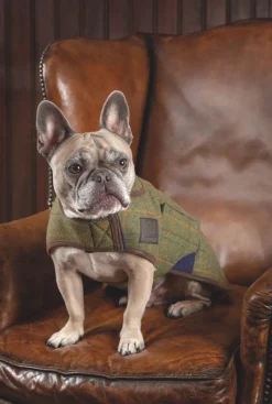Digby & Fox Tweed Dog Coat