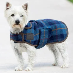 Digby & Fox Tweed Dog Coat