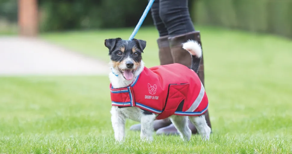 Digby & Fox Waterproof Dog Coat