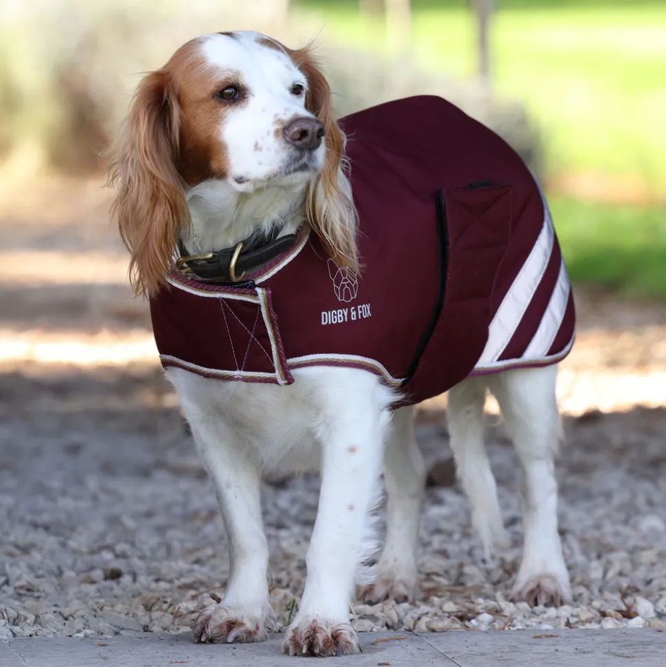 Digby & Fox Waterproof Dog Coat
