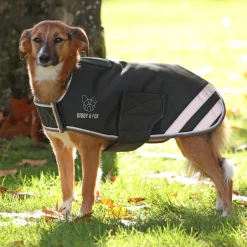 Digby & Fox Waterproof Dog Coat