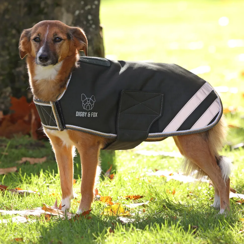 Digby & Fox Waterproof Dog Coat