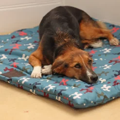 Digby & Fox Waterproof Padded Dog Bed