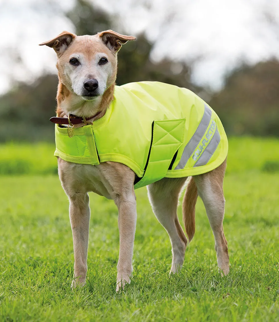 EQUI-FLECTOR Dog Coat
