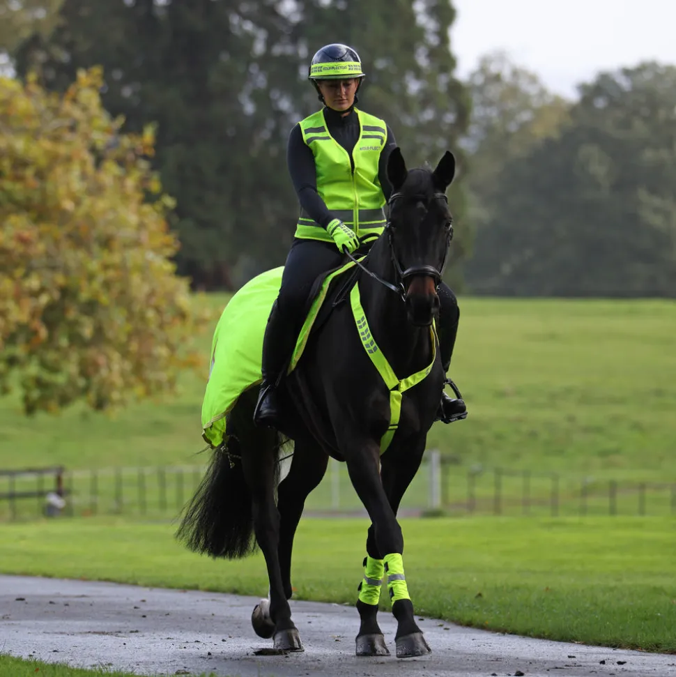 EQUI-FLECTOR® Mesh Exercise Sheet