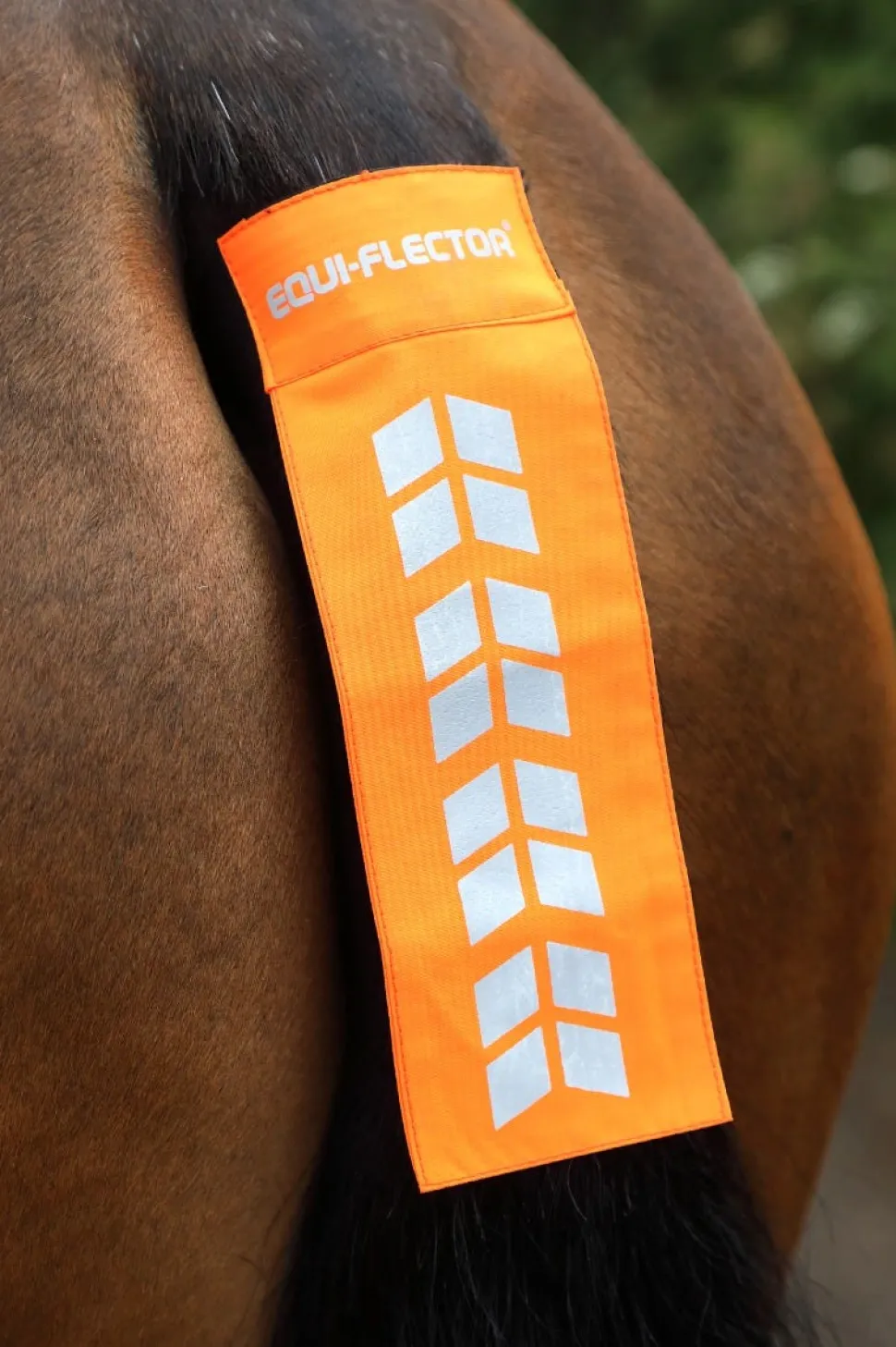 EQUI-FLECTOR® Tail Strap