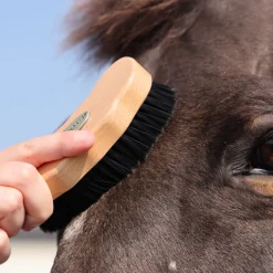 EZI-GROOM Premium Face Brush
