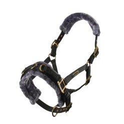 Fleece Lined Lunge Cavesson