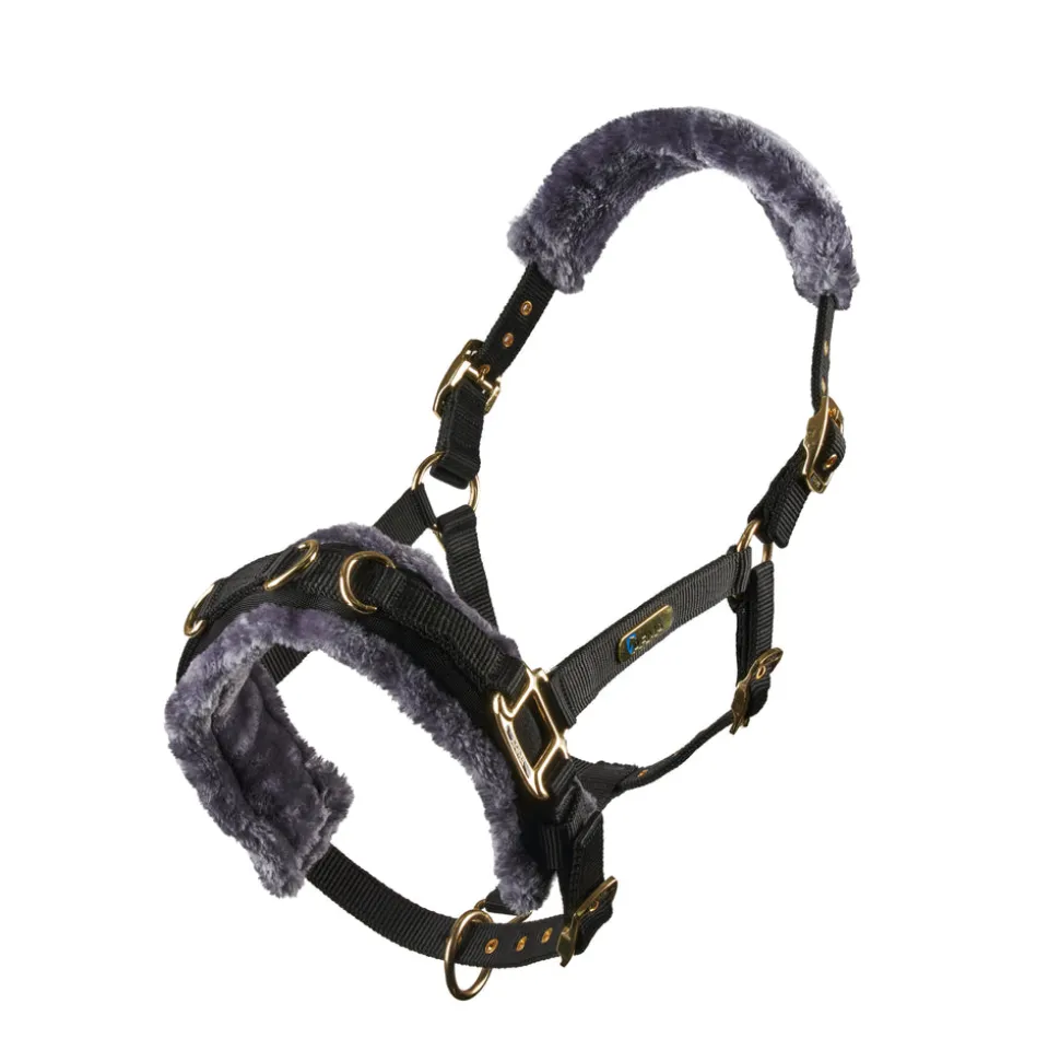 Fleece Lined Lunge Cavesson