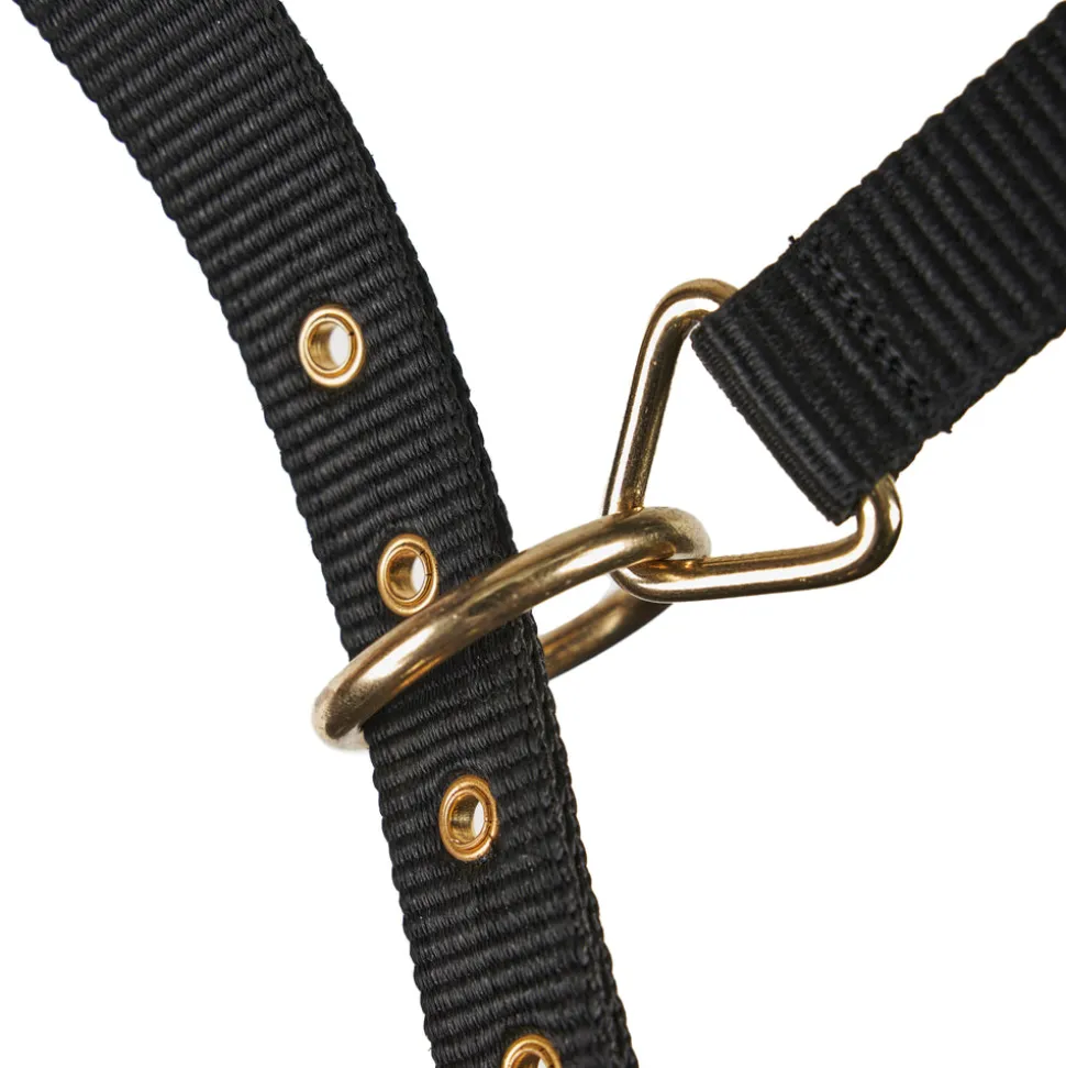 Fleece Lined Lunge Cavesson