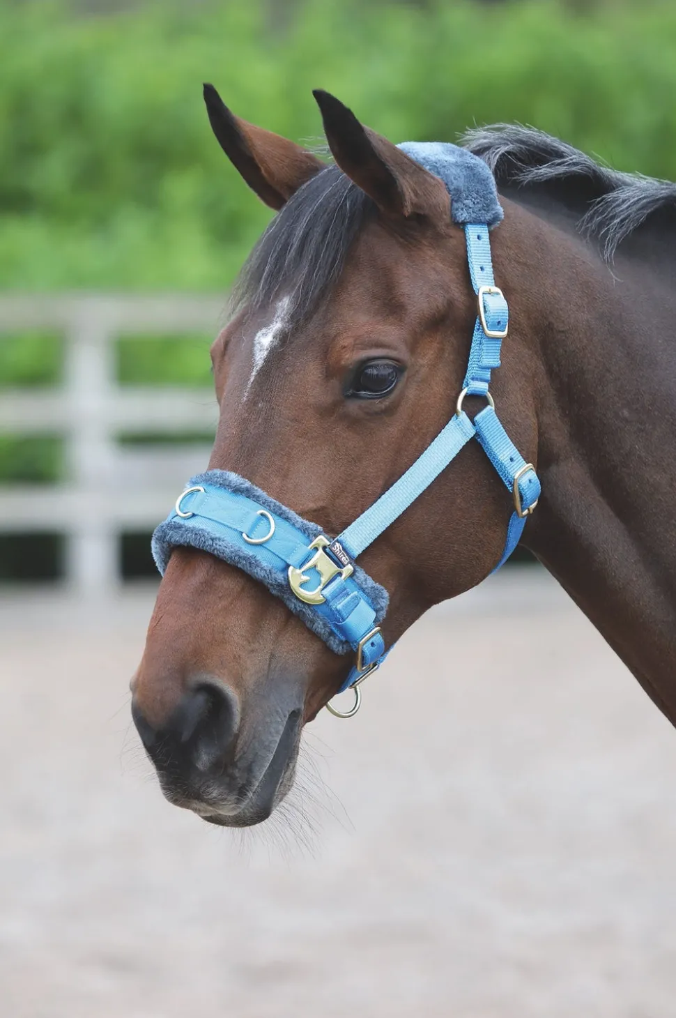 Fleece Lined Lunge Cavesson