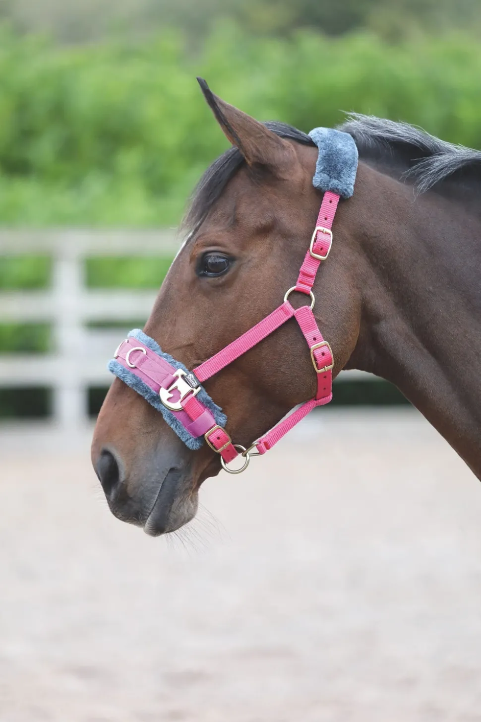 Fleece Lined Lunge Cavesson