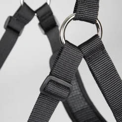 FreeGraze Comfort Grazing Muzzle