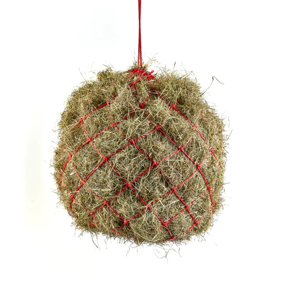 Haynet