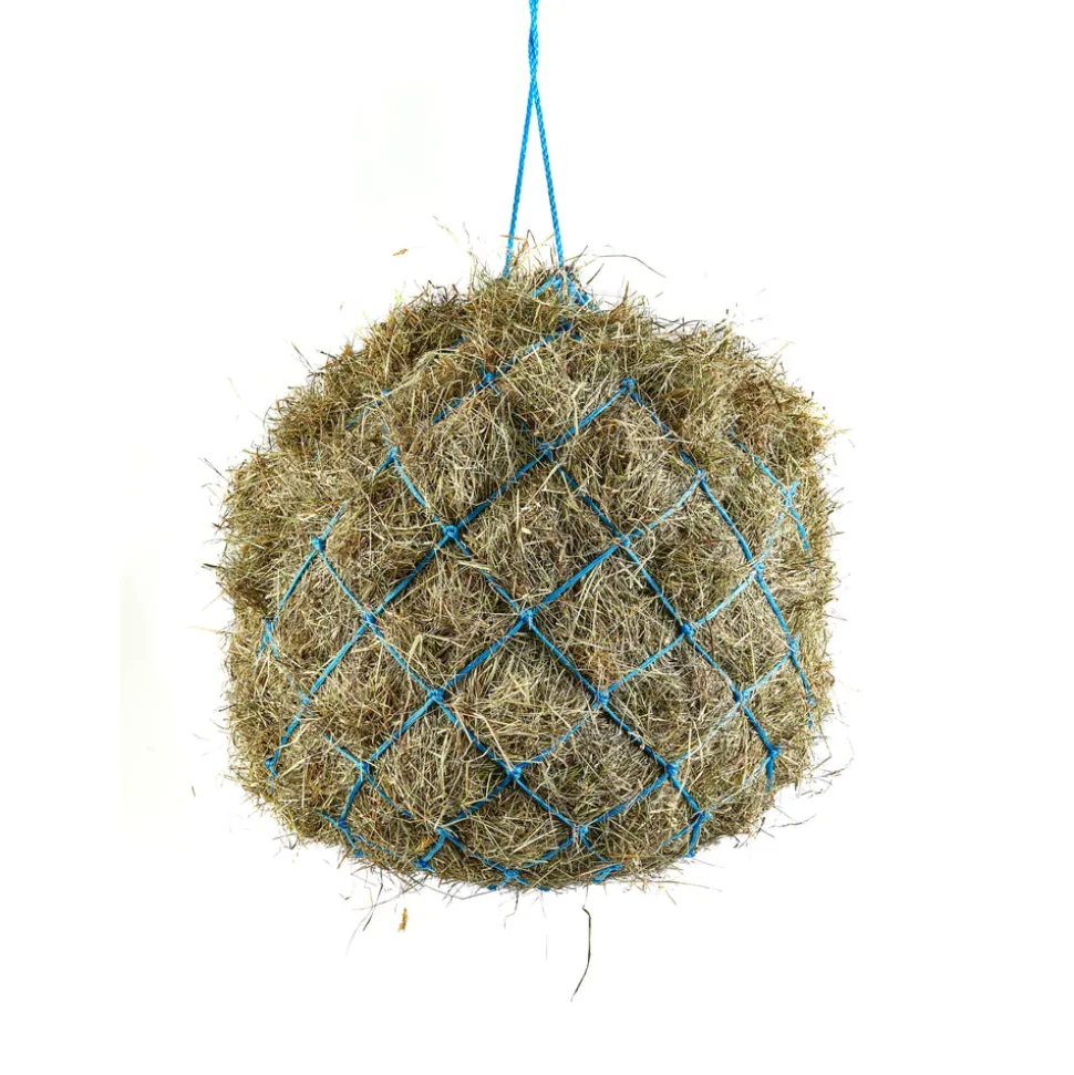 Haynet