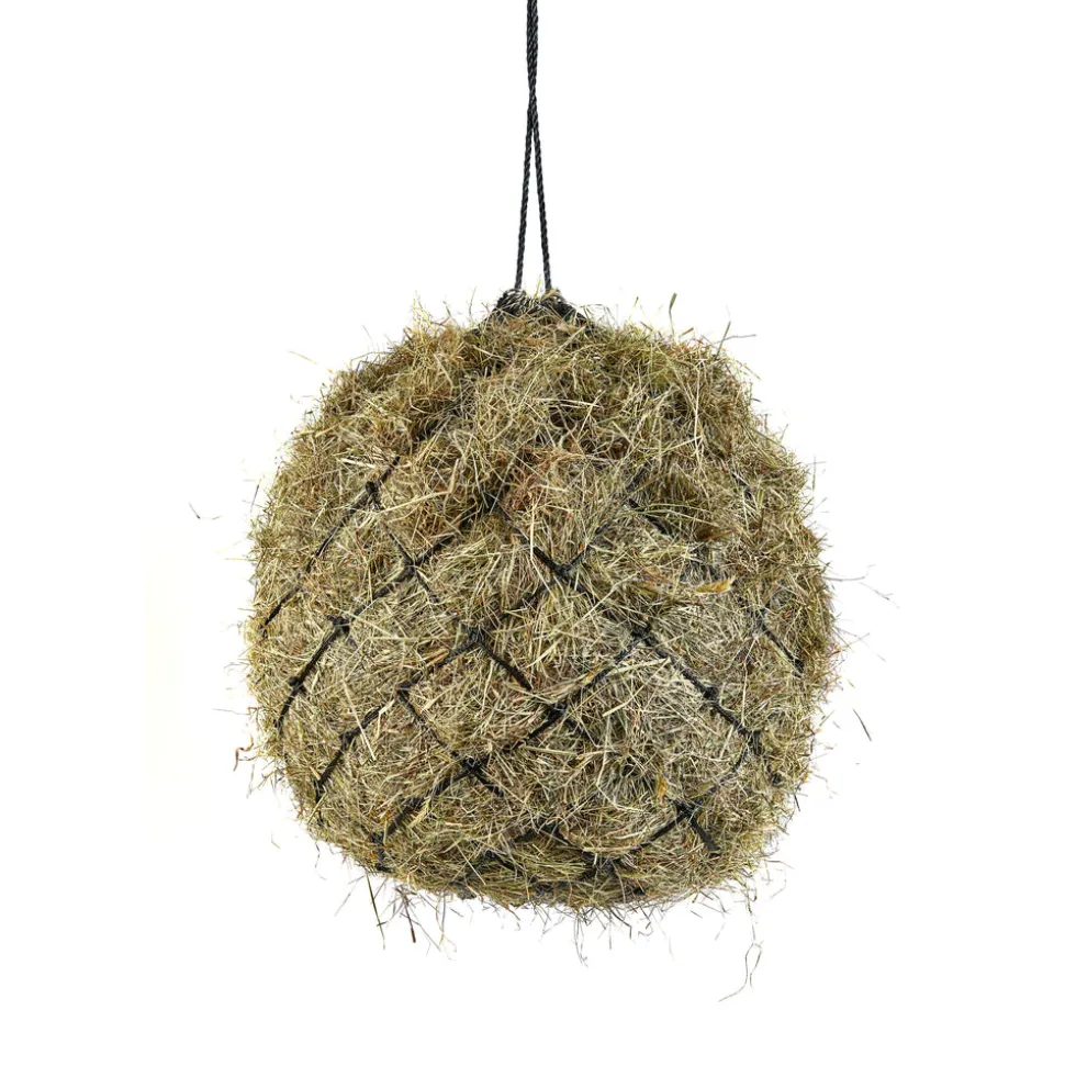 Haynet