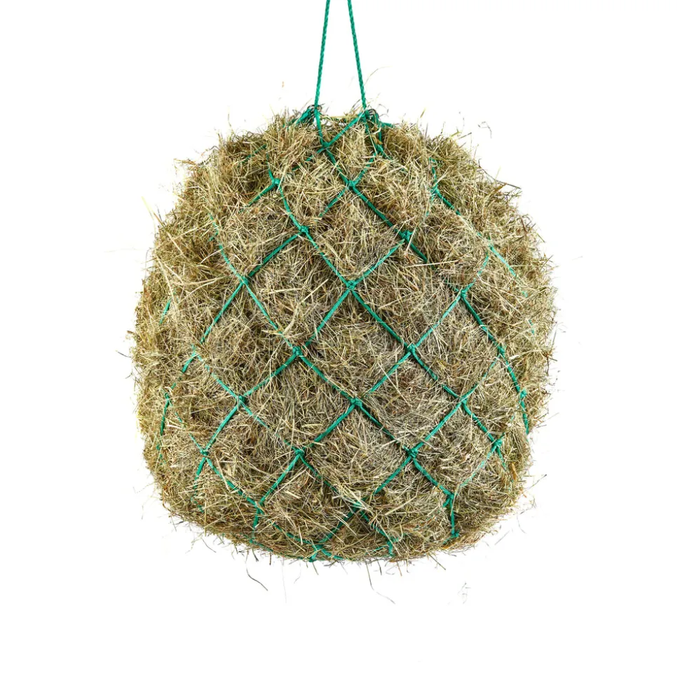 Haynet
