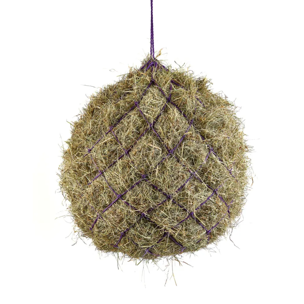 Haynet