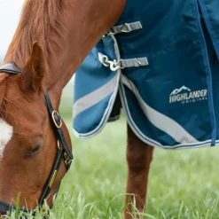 Highlander Original 50 Combo Turnout Rug
