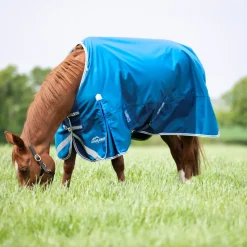 Highlander Original 200 Turnout Rug