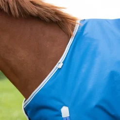 Highlander Original 200 Turnout Rug