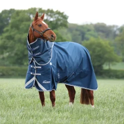Highlander Original 50 Turnout Rug & Neck Set