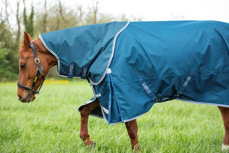Highlander Original 50 Turnout Rug & Neck Set