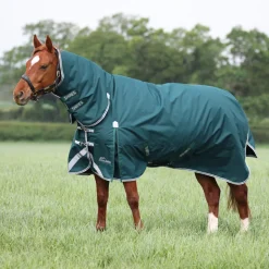 Highlander Original 300 Turnout Combo Rug