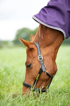 Highlander Original 100 Turnout Rug