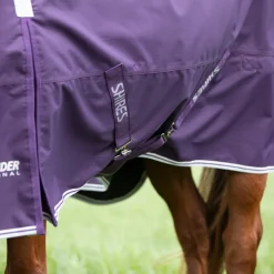 Highlander Original 100 Turnout Rug