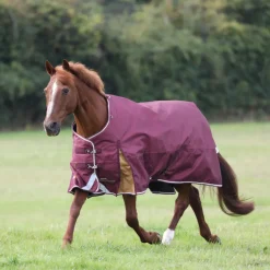 Highlander Plus 100 Turnout Rug