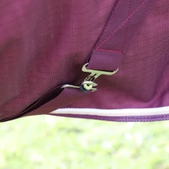 Highlander Plus 100 Turnout Rug