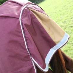 Highlander Plus 100 Turnout Rug