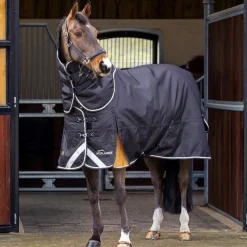 Highlander Plus 200 Turnout Rug & Neck Set