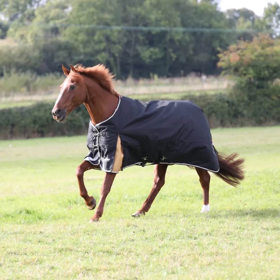 Highlander Plus 200 Turnout Rug