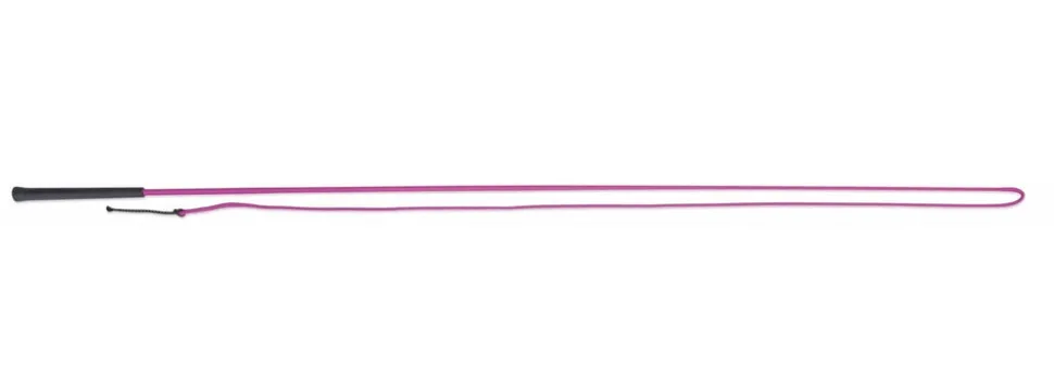 Lunging Whip