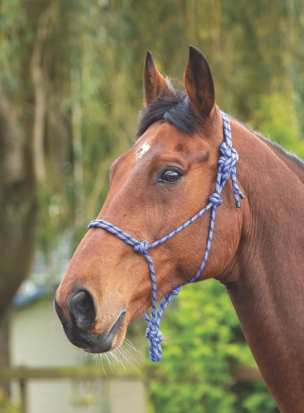 Rope Control Headcollar