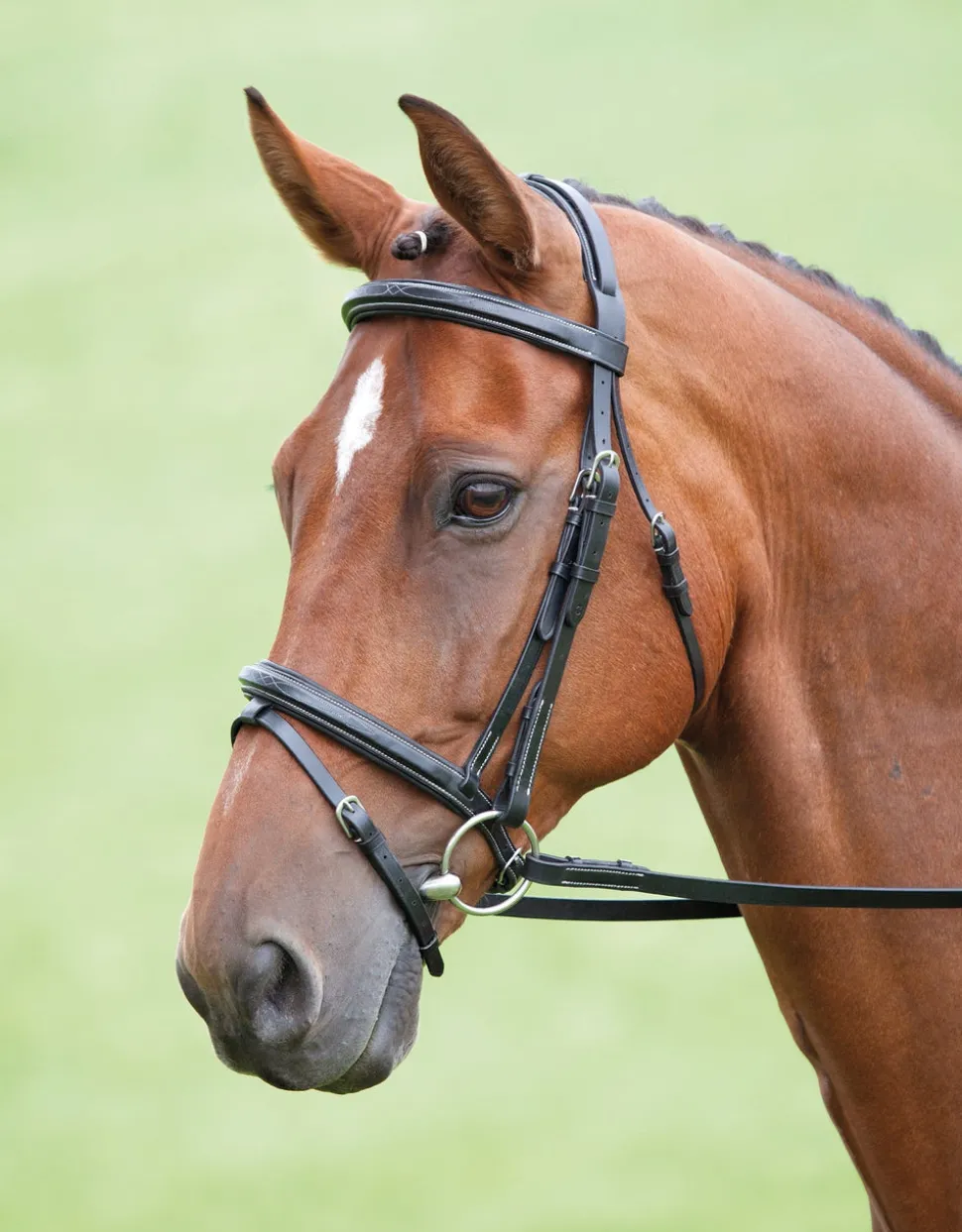 Salisbury Bodenham Bridle