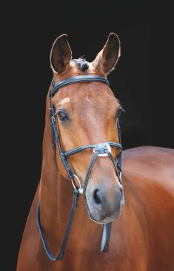 Salisbury Brackley Bridle