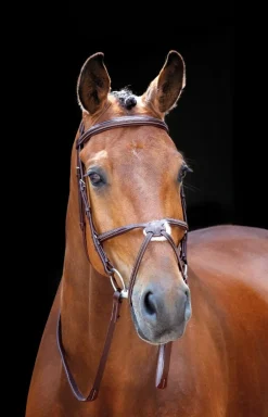 Salisbury Brackley Bridle