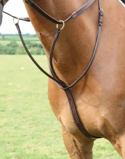 Salisbury Running Martingale