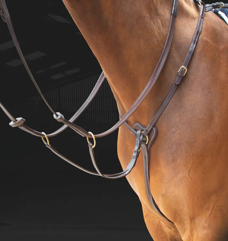 Salisbury Three Point Breastplate