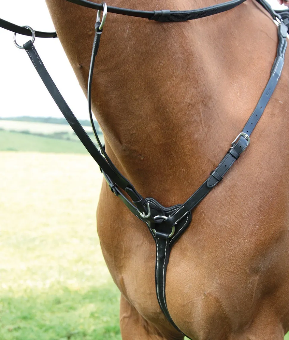 Salisbury Three Point Breastplate
