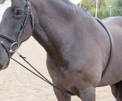 Soft Lunging Aid