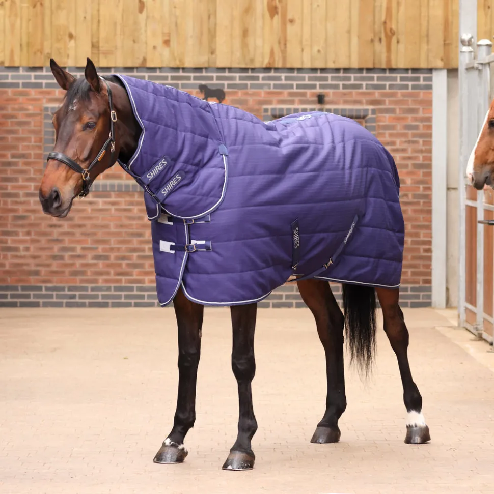Tempest Original 100 Combo Stable Rug