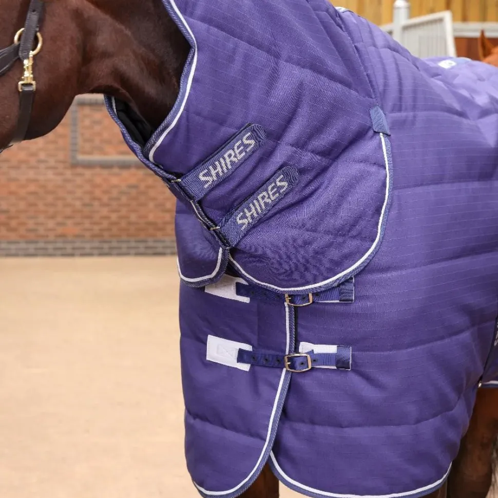 Tempest Original 100 Combo Stable Rug